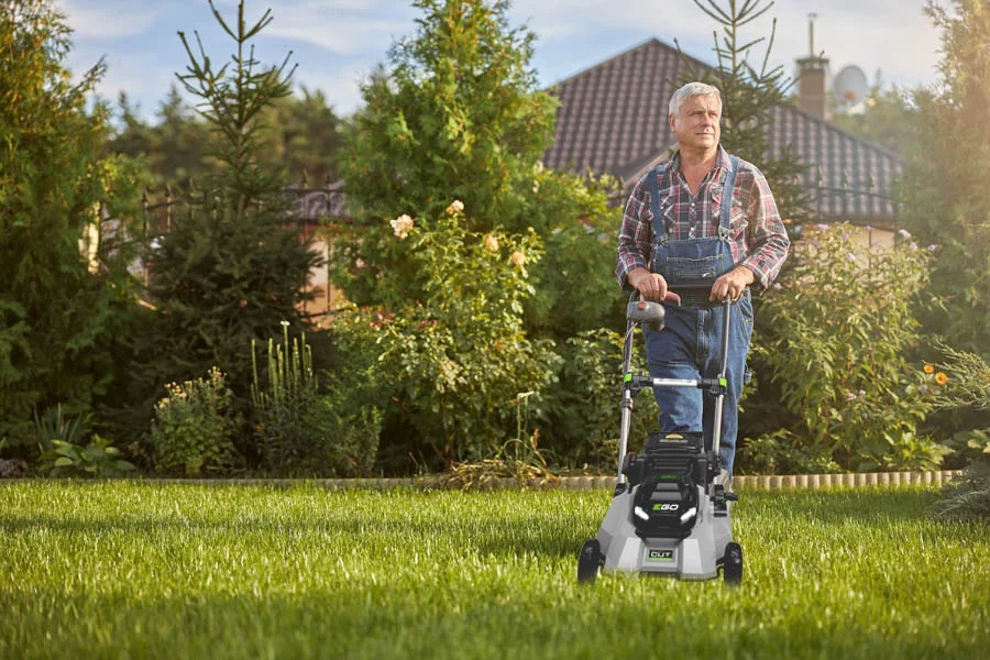 where can i buy a push mower